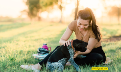 Strategies for Safer Dog Interactions in Austin’s Neighborhoods